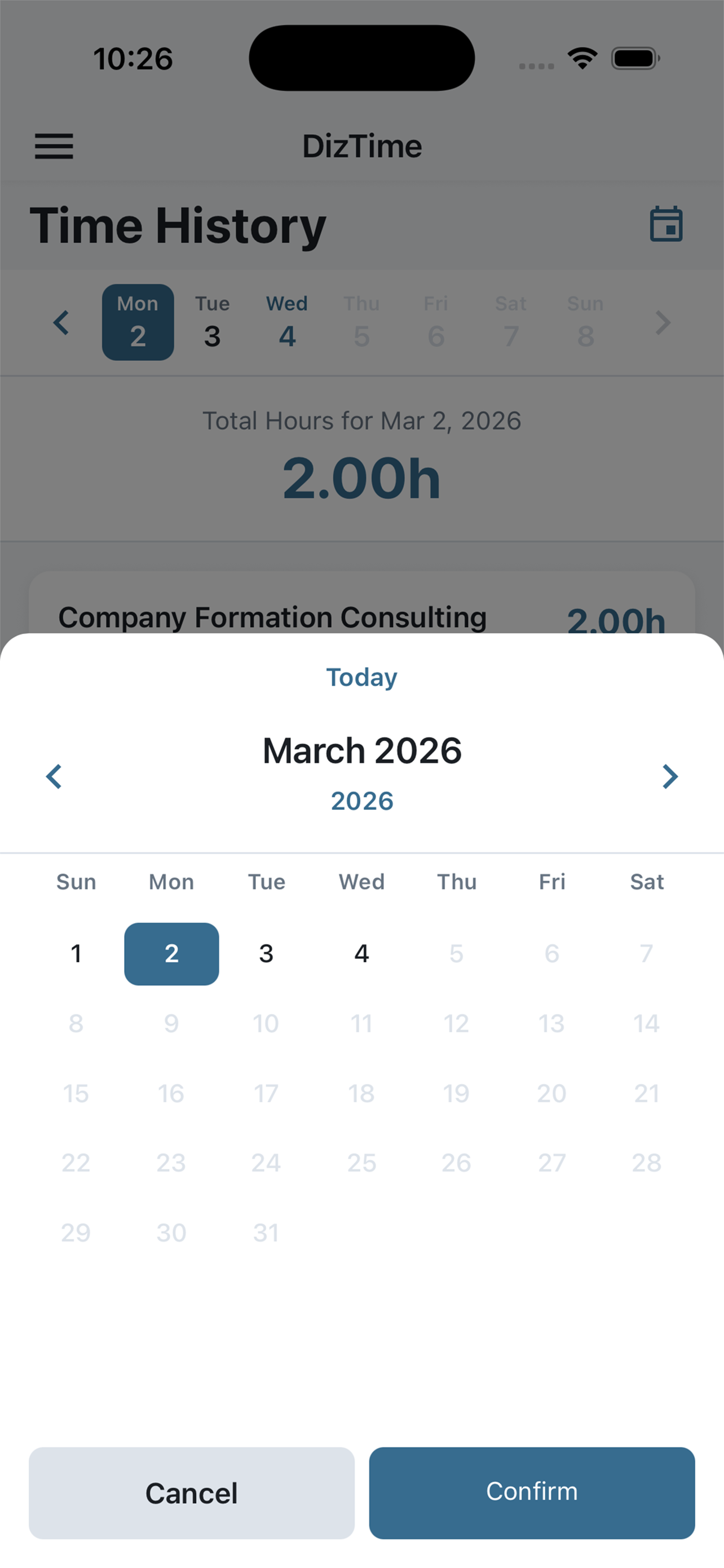 DizTime project and task tracking preview